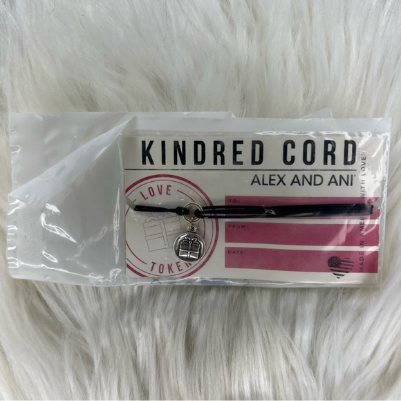 Alex and Ani Jewelry Alex And Ani Gift Box Rafaelian Silver Charm